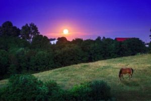 “Blue Moon of Kentucky” Lyrics and Chords